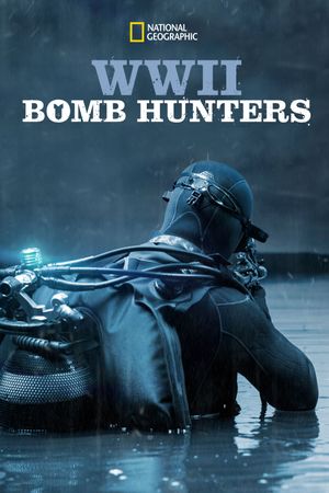 WWII Bomb Hunters's poster