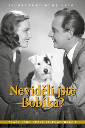 Nevideli jste Bobíka?'s poster