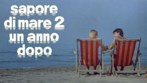 Sapore di mare 2 - Un anno dopo's poster