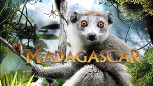 Madagascar 3D's poster