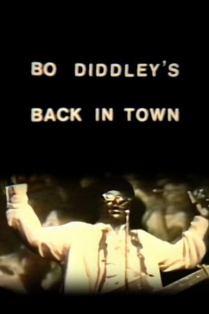 Bo Diddley's Back in Town's poster