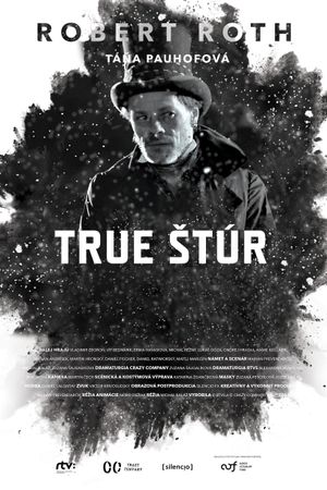 True Štúr's poster image