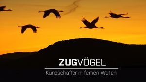 Zugvögel - Kundschafter in fernen Welten's poster