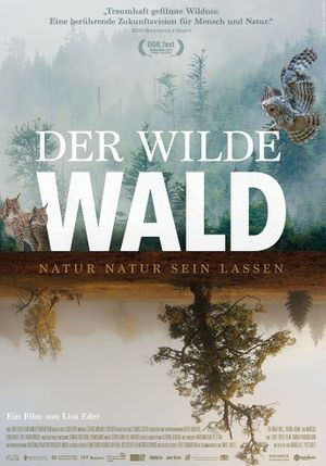 Der Wilde Wald's poster