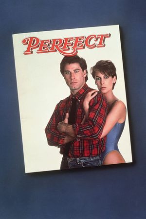 Perfect's poster image