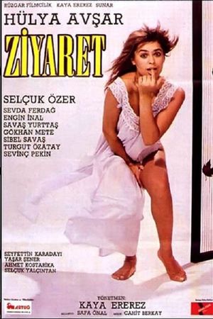 Ziyaret's poster image