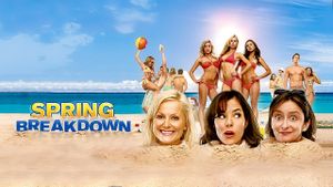 Spring Breakdown's poster