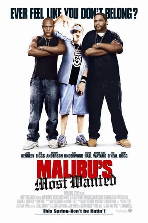 Malibu's Most Wanted's poster