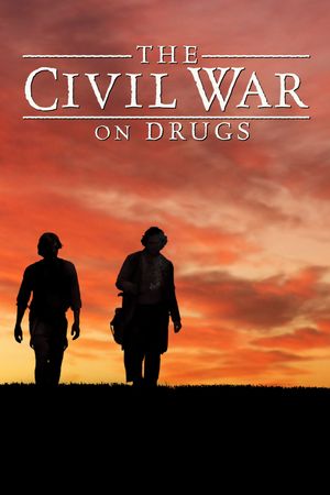 The Civil War on Drugs's poster