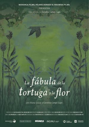 La fábula de la tortuga y la flor's poster