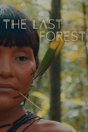 The Last Forest's poster