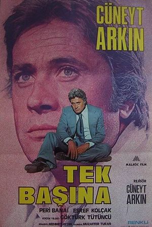 Tek Basina's poster
