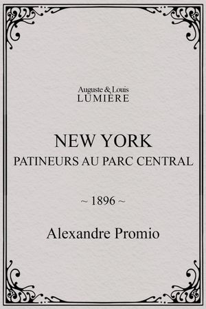 New York, patineurs au Parc central's poster