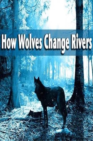 How Wolves Change Rivers's poster