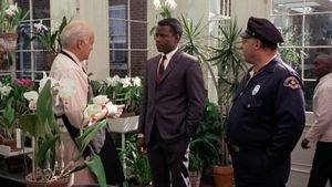 In the Heat of the Night's poster