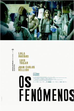 Os fenómenos's poster