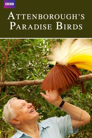 Attenborough's Paradise Birds's poster