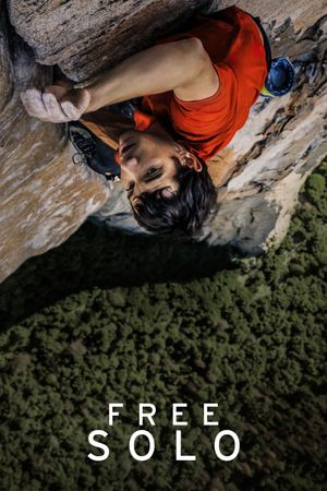 Free Solo's poster