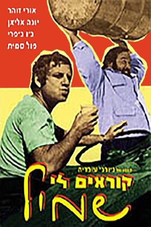 The Bull Buster's poster