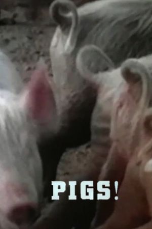 Pigs!'s poster