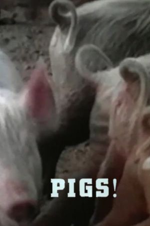 Pigs!'s poster image