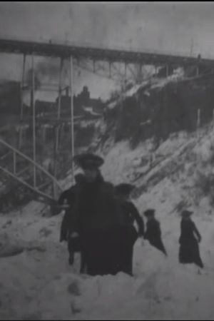 Crossing Ice Bridge at Niagara Falls's poster