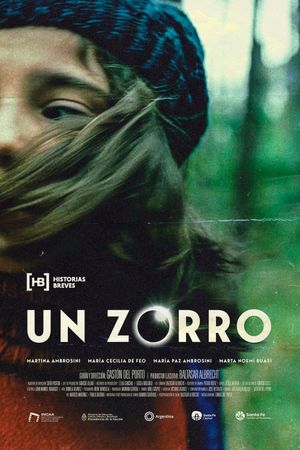 Un zorro's poster image