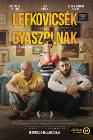 All About the Levkoviches's poster