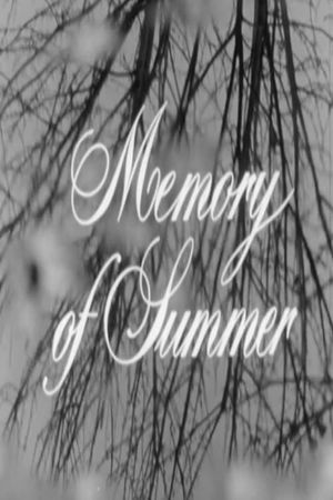 Memory of Summer's poster