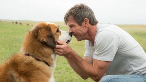 A Dog's Purpose's poster