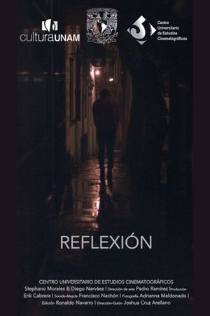 Reflection's poster