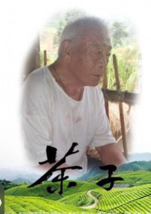 茶子's poster