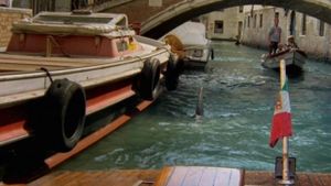 Shark in Venice's poster