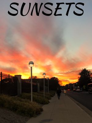 Sunsets's poster