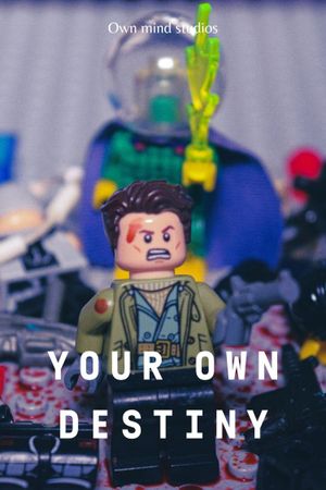 Your Own Destiny's poster image