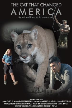 The Cat That Changed America's poster