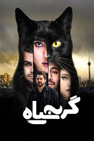 The Black Cat's poster