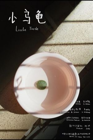 Little Turtle's poster