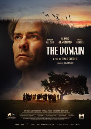 The Domain's poster