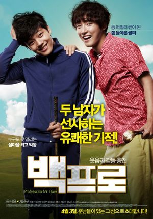 Mr. Perfect's poster