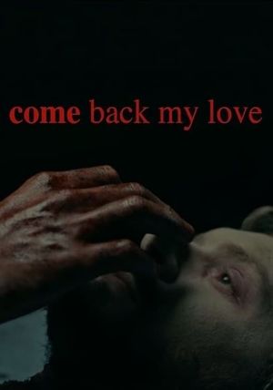 Come Back My Love's poster