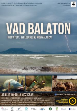 Vad Balaton's poster