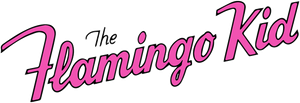 The Flamingo Kid's poster