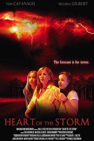 Heart of the Storm's poster