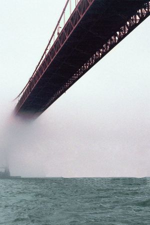 The Bridge's poster