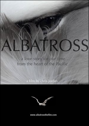 Albatross's poster