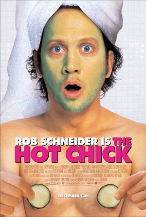 The Hot Chick's poster