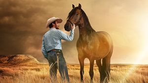 The Rider's poster
