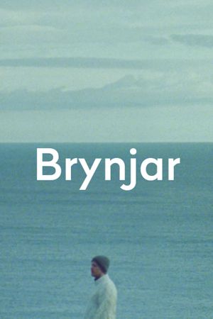 Brynjar's poster