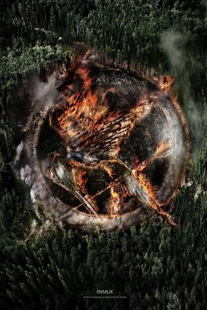 The Hunger Games: Mockingjay - Part 2's poster